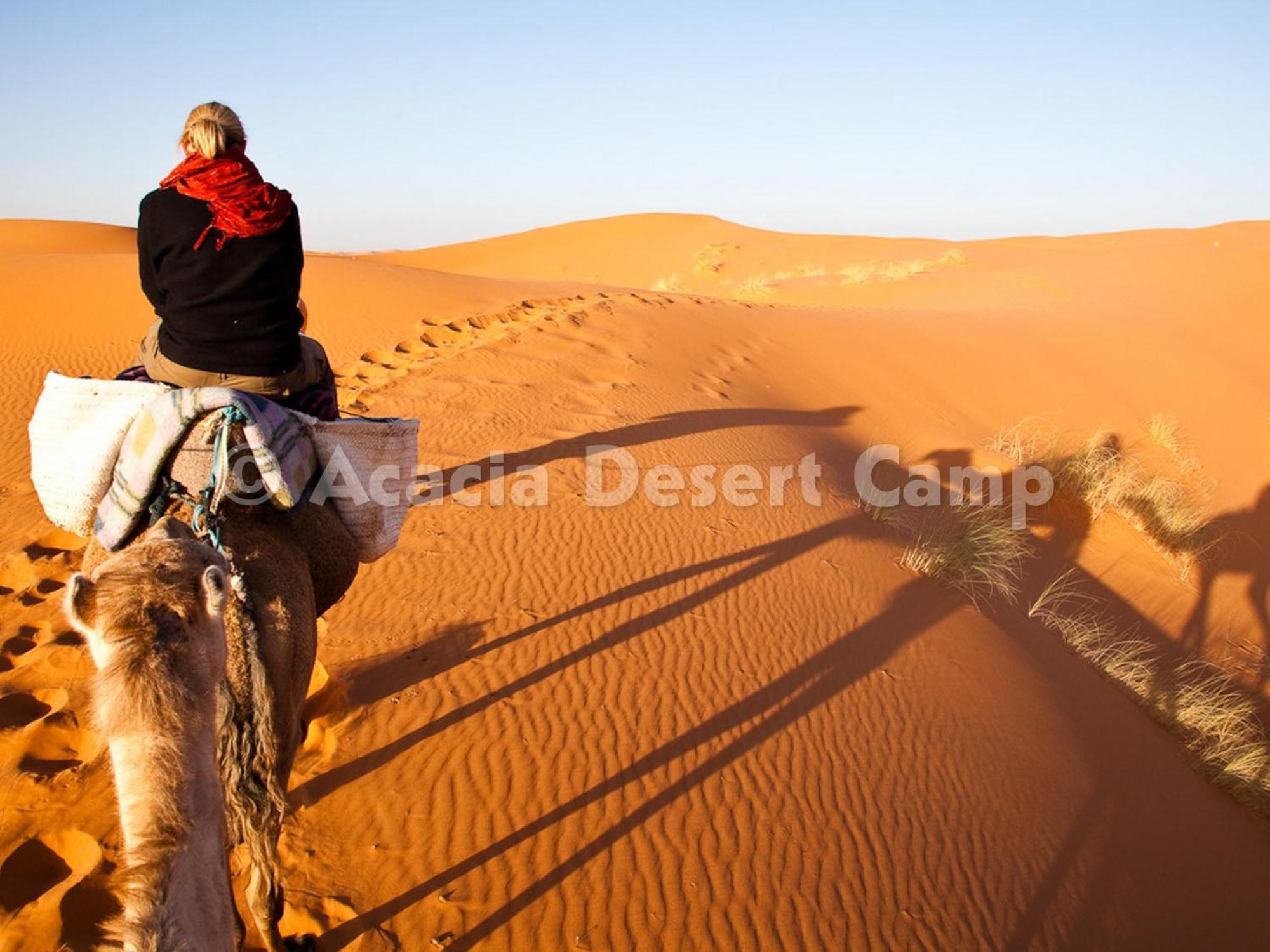Acacia Desert Camp Hotel Merzouga Luaran gambar