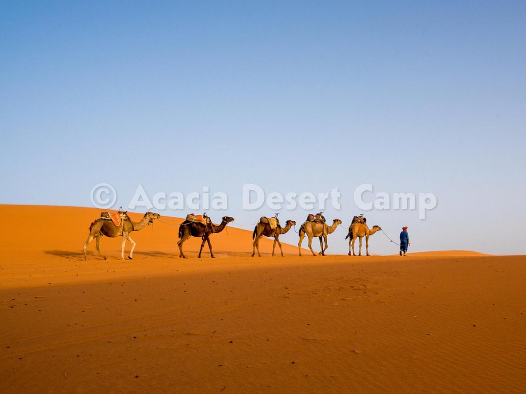 Acacia Desert Camp Hotel Merzouga Luaran gambar