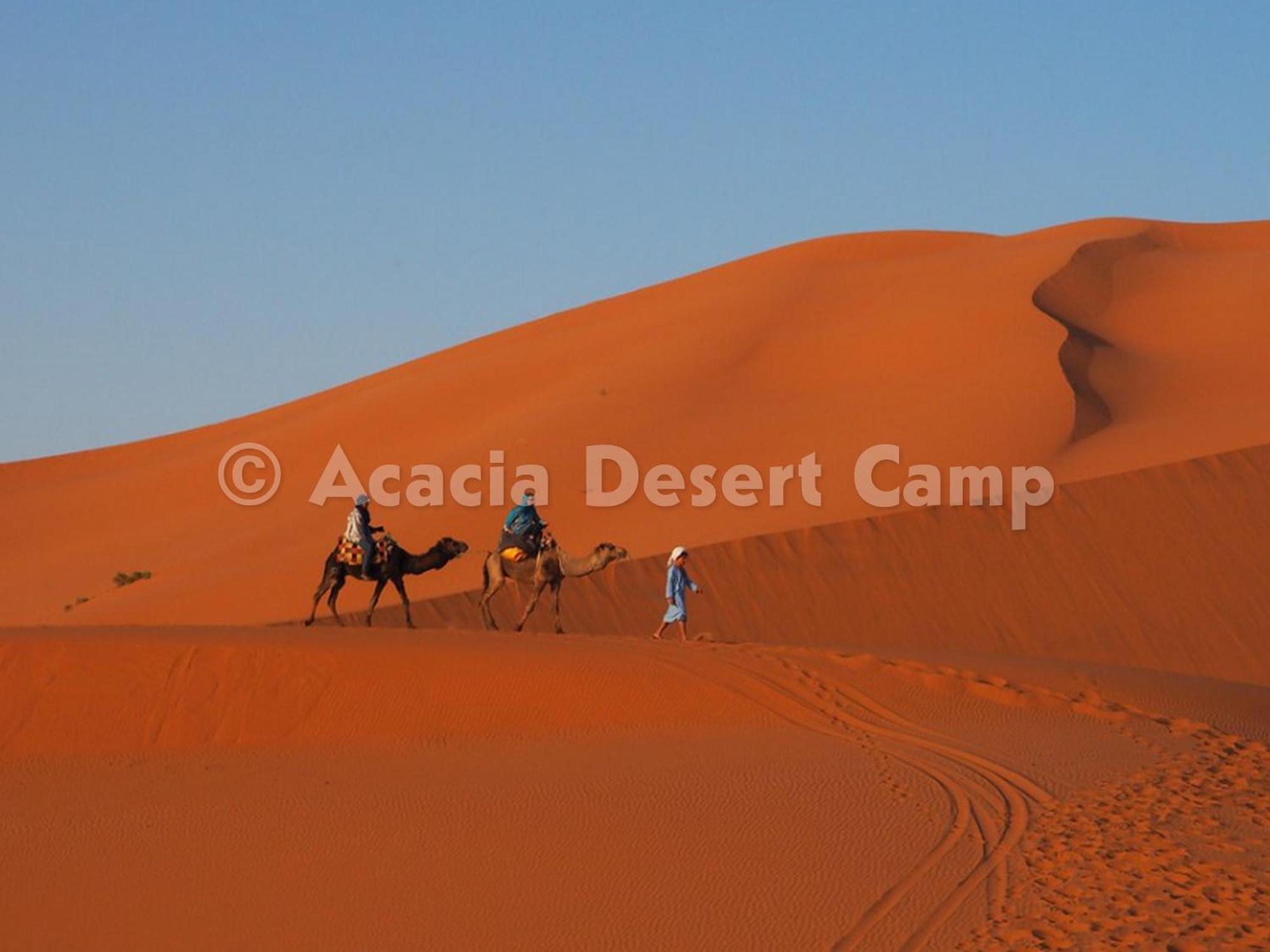 Acacia Desert Camp Hotel Merzouga Luaran gambar